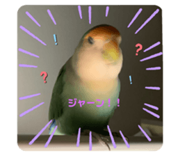 553629178
