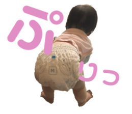 553631116