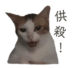 553632191