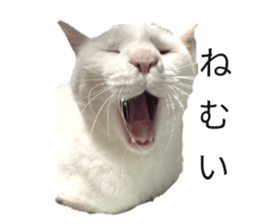 553686494