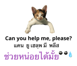 553724014