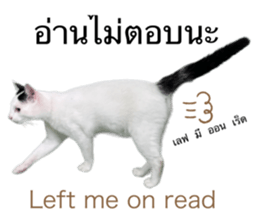 553724020