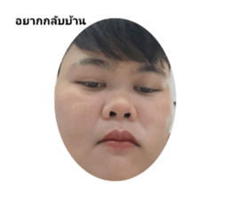 553743540