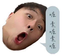 553747356