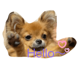 553748100