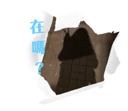 553752772