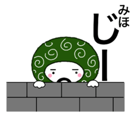 55377132
