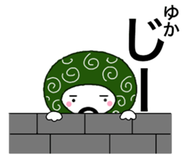 55377298
