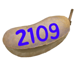 553774207