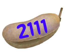 553774209