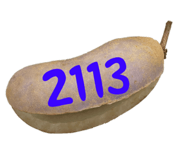 553774211