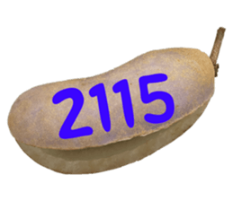 553774213