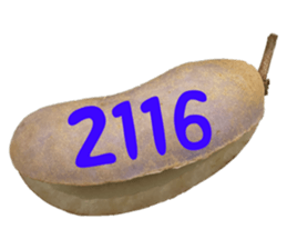 553774214