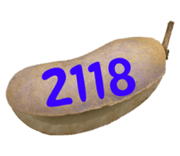 553774216