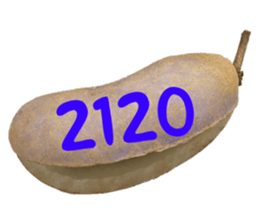 553774218