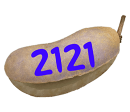 553774219