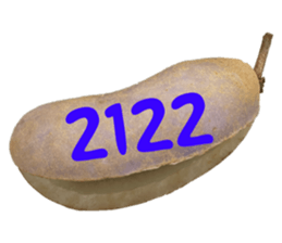 553774220