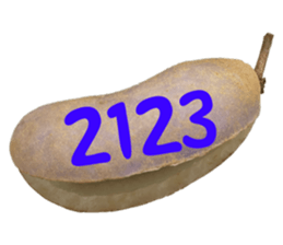553774221