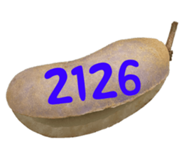 553774224