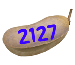 553774225