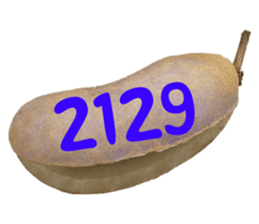 553774227