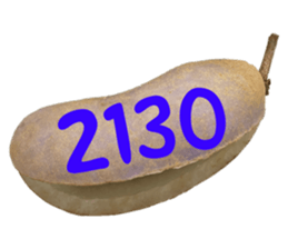 553774228