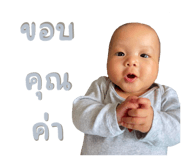 553774304