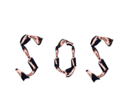 553774799