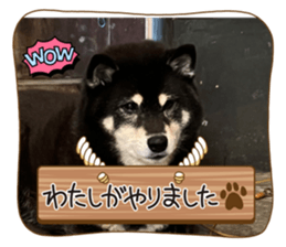 553794413