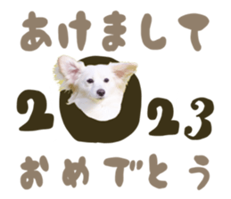 553799227