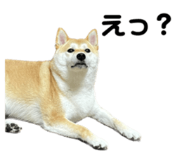 553799576