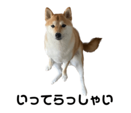553799578