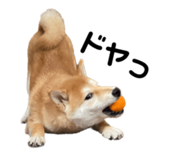 553799591