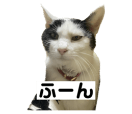 553814820