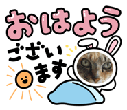 553830817
