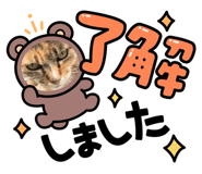 553830821