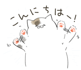 553833206