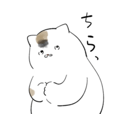 553833223