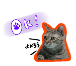 553835449
