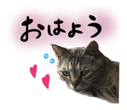 553835451