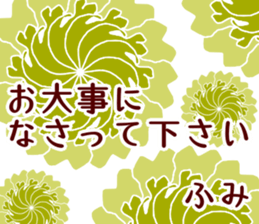 55384355