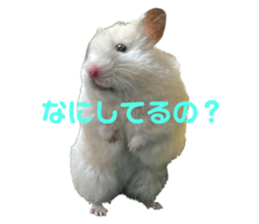 553857699