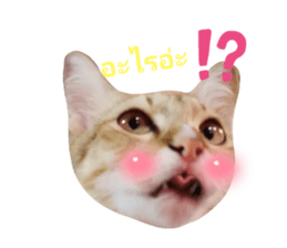 553861992