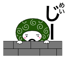55390962