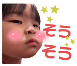 553913013