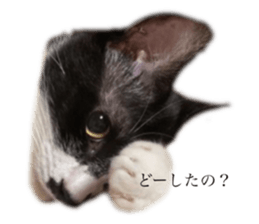 553913386