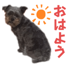 553919340