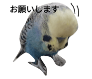 553977416