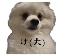 553977582