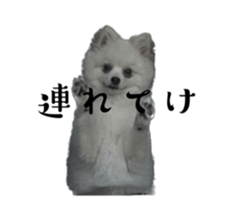 553977589